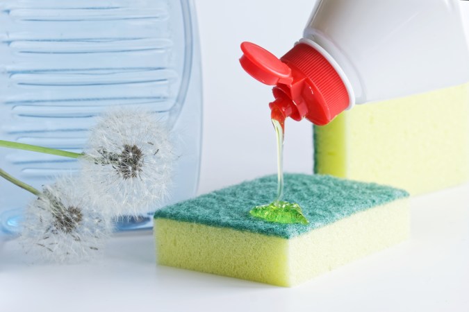 Cloro vs. microondas: el método infalible para eliminar bacterias en tu cocina