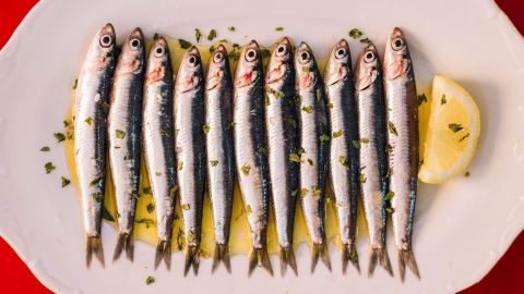 Sardinas