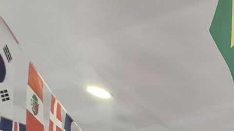 Dueños de restaurantes reportan un año de bajas ventas. Esperan que el torneo mundial inyecte vigor a la economía de vecindarios alejados de los centros turísticos de Manhattan.