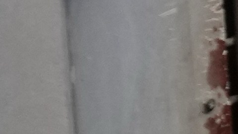 Mono bebé Punch