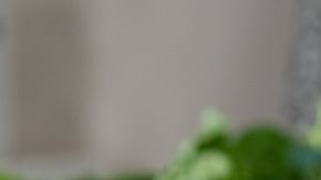Una ensalada abundante en un plato blanco.