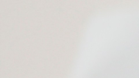 Aseguran que el gobierno discriminó a las personas por su origen étnico, religión y nacionalidad, en violación de la garantía constitucional de igualdad ante la ley.