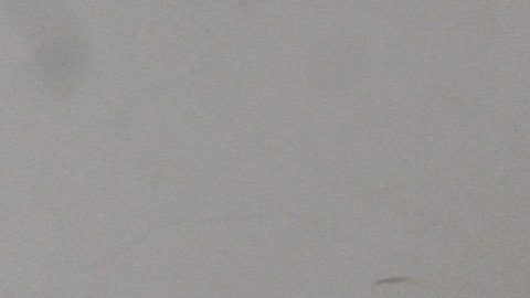 El jueves surgieron más preocupaciones, con varios informes de un presunto caso de hantavirus en el condado de Ontario, Nueva York.