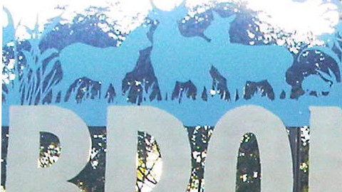 Un visitante del zoológico con problemas de salud mental fue atacado y herido de gravedad por un tigre siberiano en 2012.