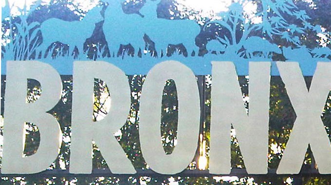 Un visitante del zoológico con problemas de salud mental fue atacado y herido de gravedad por un tigre siberiano en 2012.