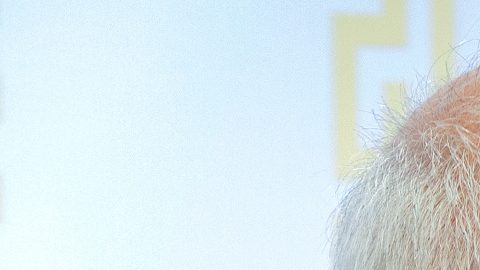 Las autoridades iraníes han arrestado a 6,500 supuestos "espías" y "traidores a la patria"las autoridades iraníes han arrestado a 6,500 supuestos "espías" y "traidores a la patria".