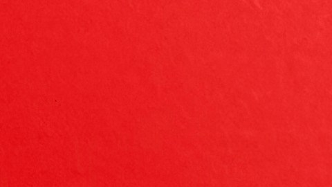 El martes 28 de abril de 2026 se fotografió una muestra de una edición limitada de un pasaporte estadounidense conmemorativo que celebra el 250 aniversario de Estados Unidos y que incluye una imagen del presidente Donald Trump.