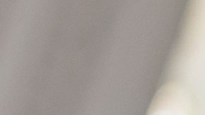 Schumer instó a la Casa Blanca para restablecer la financiación para la investigación de enfermedades infecciosas.