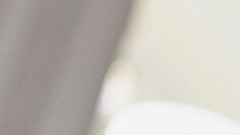 Schumer instó a la Casa Blanca para restablecer la financiación para la investigación de enfermedades infecciosas.