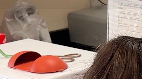 La investigadora Frannie Twohig prepara muestras de material inactivado sobre el hantavirus en la Universidad de Nuevo México en Albuquerque.