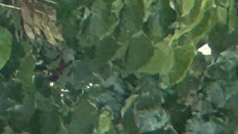 Agentes del orden público acuden al lugar de un tiroteo el martes 5 de mayo de 2026 en K Towne Plaza, en Carrollton, Texas.