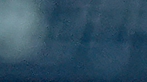 Tampa Bay Rays' Jonathan Aranda watches his RBI single off Toronto Blue Jays pitcher Kevin Gausman during the third inning of a baseball game Tuesday, May 5, 2026, in St. Petersburg, Fla. (AP Photo/Chris O'Meara)
