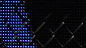 Yankees: Dominicano Jasson Domínguez entra en protocolo de conmociones tras terrible choque