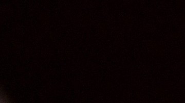 Logo del Departamento de Justicia de EE.UU.