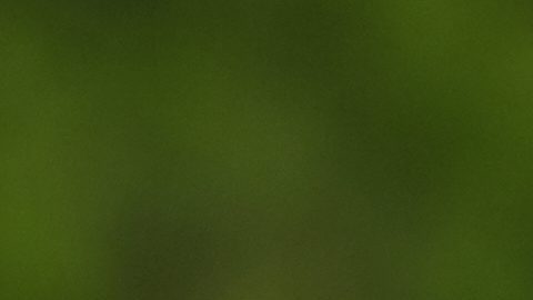Trump dijo que al-Minuki creía poder esconderse, pero desconocía que contábamos con fuentes que nos mantenían informados sobre sus actividades.