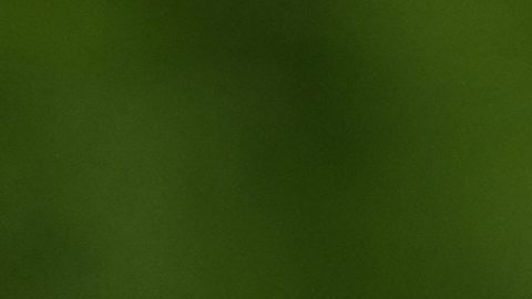 El sondeo del Times/Siena dice que se estima que el 64% de los electores del país desaprueba la gestión económica de Trump.