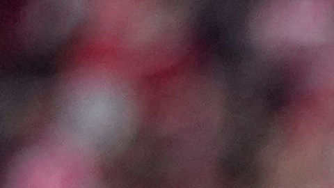 Bayern's Harry Kane celebrates after scoring during a Bundesliga soccer match between Bayern and FC Cologne in Munich, Germany, Saturday, May 16, 2026. (AP Photo/Matthias Schrader)