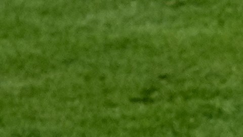 Aston Villa's goalkeeper Emiliano Martinez makes a save during a training session ahead of the Europa League final soccer match between Freiburg and Aston Villa in Istanbul, Turkey, Tuesday, May 19, 2026. (AP Photo/Khalil Hamra)