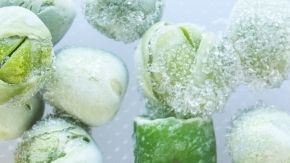 El brócoli o las espinacas congeladas inmediatamente después de su cosecha pueden retener más vitamina C y polifenoles que los vegetales frescos de varios días
