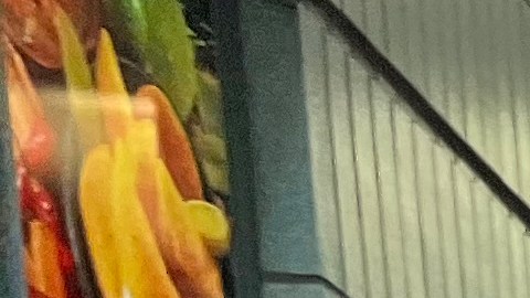 Residentes de Jackson Heights y Corona, donde la actual senadora Jessica Ramos, deberá medirse a dos contendores latinos por su curul piden más acciones para mejorar la calidad de sus barrios
