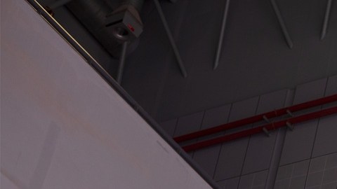 Con más de 113,000 empleos eliminados en el sector tecnológico en 2026, los trabajadores hispanos deben analizar qué tan preparados están en caso de perder sus empleos.