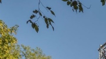 El Teatro Delacorte recibe dos montajes y la ciudad suma decenas de puntos para retirar vales diarios.