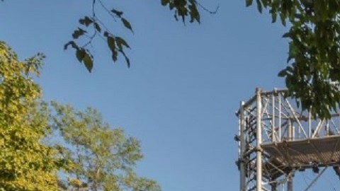 El Teatro Delacorte recibe dos montajes y la ciudad suma decenas de puntos para retirar vales diarios.