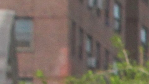 La comunidad latina siempre ha luchado por que nuestra juventud tenga acceso a los sistemas de educación y pueda avanzar en los mismos, desde kindergarten hasta la universidad.