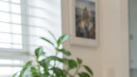 El ITIN se ha convertido en una pieza clave de supervivencia financiera para inmigrantes sin Seguro Social.