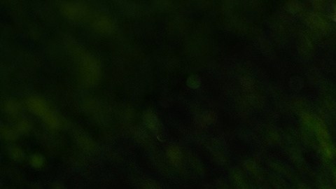 Entradas del Mundial que sorteará Nueva York a $50 desatan nuevo choque con Nueva Jersey