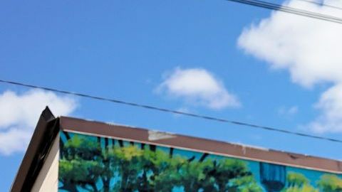 Mural de una líder comunitaria puertorriqueña en Holyoke, la ciudad con más boricuas per cápita fuera de la isla