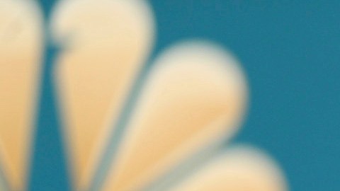 Kenneth Lonergan también ha escrito y dirigido obras de teatro.