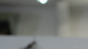 Las certificaciones técnicas son una ruta real y comprobada hacia empleos mejor pagados sin pasar por la universidad.