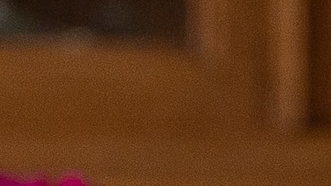 Marie-Thérèse Ross regresó a Francia tras ser liberada por ICE.