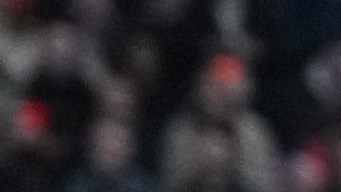 Los jugadores de Holanda.