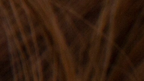Una composición con una melena de cabello, un frasco con aceite de oliva, aceitunas y hojas de oliva,