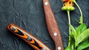 ¿Sabías que el páncreas es un órgano de doble acción indispensable para tu nutrición?  Su labor es "descomponer". Produce enzimas clave como la amilasa (carbohidratos), lipasa (grasas) y proteasa (proteínas) y regula las hormonas través de los islotes de Langerhans, secreta insulina y glucagón para mantener el equilibrio de glucosa en sangre.