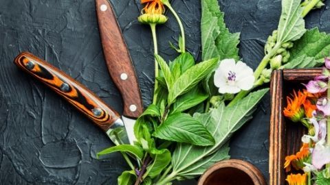 ¿Sabías que el páncreas es un órgano de doble acción indispensable para tu nutrición?  Su labor es "descomponer". Produce enzimas clave como la amilasa (carbohidratos), lipasa (grasas) y proteasa (proteínas) y regula las hormonas través de los islotes de Langerhans, secreta insulina y glucagón para mantener el equilibrio de glucosa en sangre.