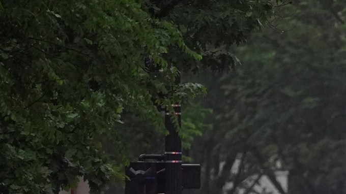 Se escuchan múltiples disparos en las inmediaciones de la Casa Blanca