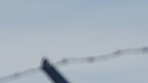 Tragedia en Denver: avión mató a un hombre que entró sin permiso a pista aérea