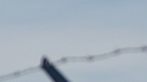 Tragedia en Denver: avión mató a un hombre que entró sin permiso a pista aérea