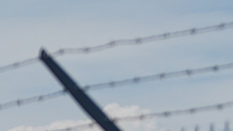 Tragedia en Denver: avión mató a un hombre que entró sin permiso a pista aérea