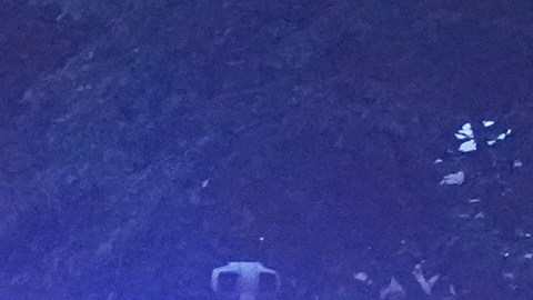 Transeúnte herido en tiroteo cerca de la Casa Blanca permanece grave pero estable