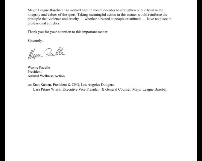 A letter from Wayne Pacelle, President of Animal Wellness Action, addressing Major League Baseball regarding the importance of actions against violence and cruelty in professional athletics.