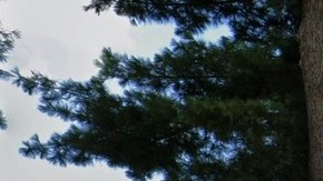 Kennedy Memorial Park, en Hempstead, Long Island (NY).