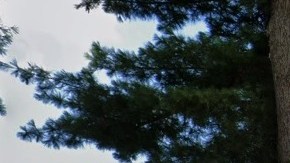 Kennedy Memorial Park, en Hempstead, Long Island (NY).