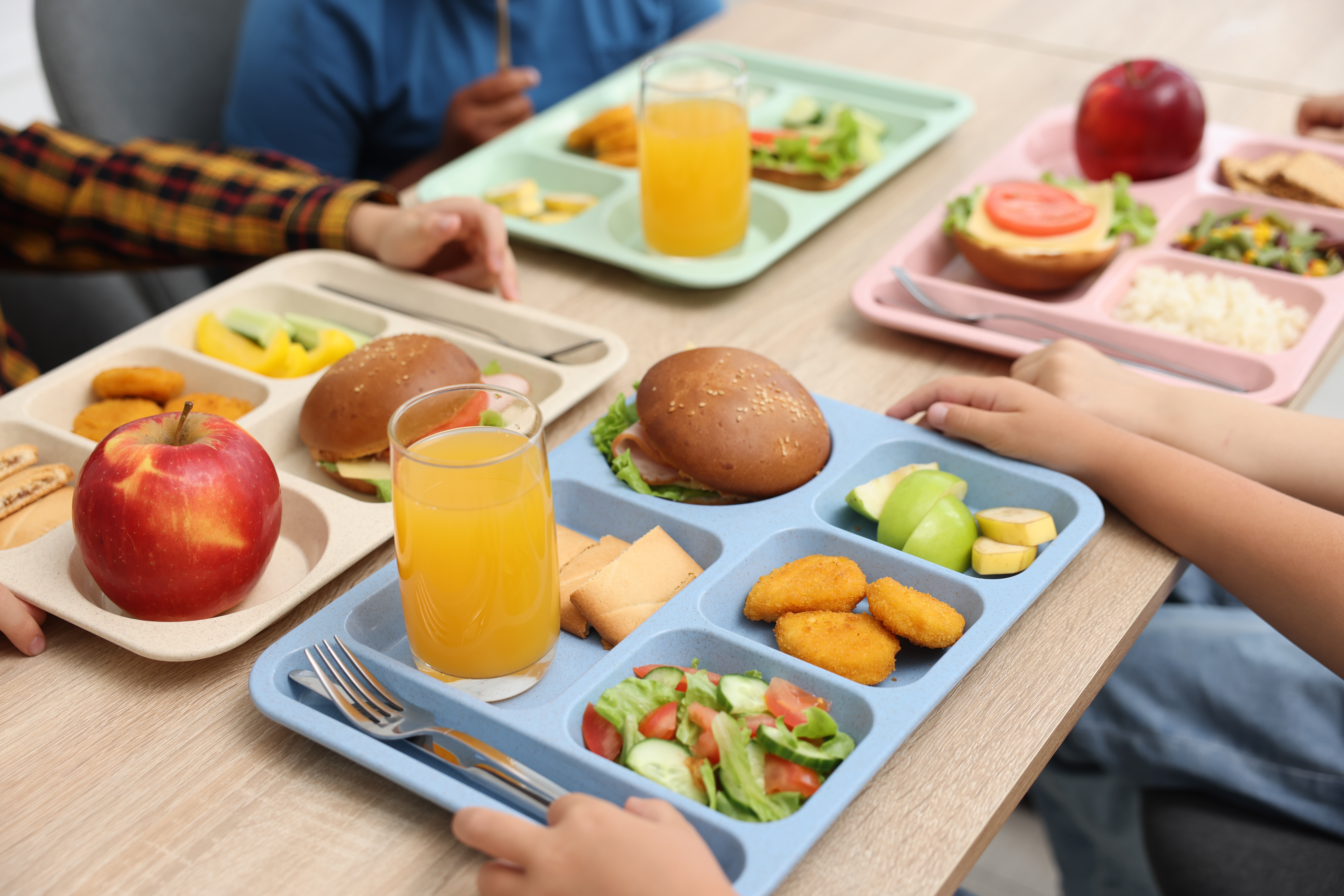 Congress Eyes Universal Free School Meals as New York Models the Obvious Solution