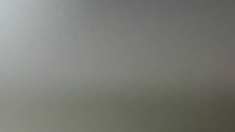 banco-transferencias-100-maximo