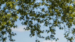 Clase gratuita de bootcamp en un parque frente al agua en Nueva York durante el verano