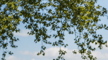Clase gratuita de bootcamp en un parque frente al agua en Nueva York durante el verano
